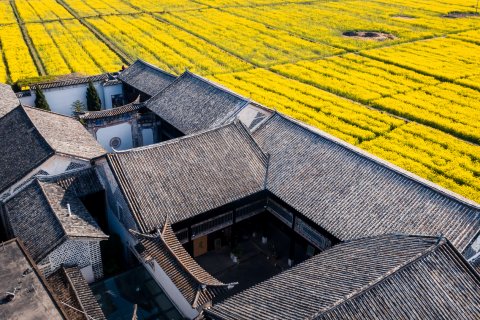 大理喜林苑·杨品相宅