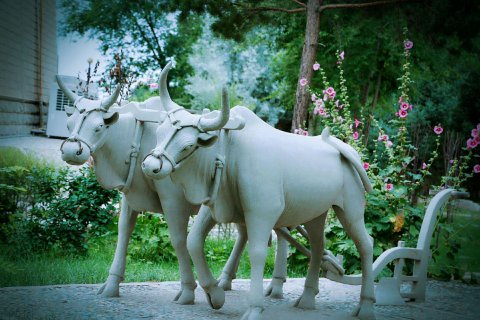 泰和山庄民宿(嘉峪关关城景区店)