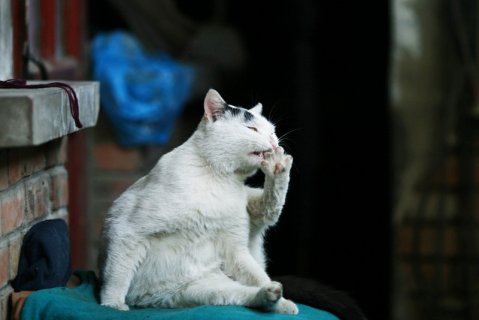 东方圣达文化酒店(北京南锣鼓巷什刹海地铁站店)