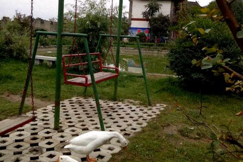 金雅居客栈(华山景区店)