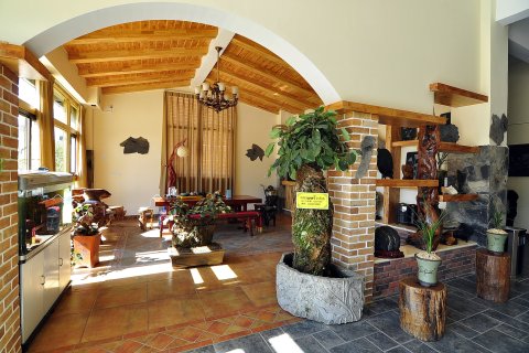 罗平奇石主题客栈