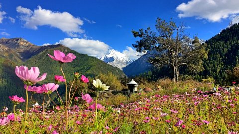 亚丁见山酒店(稻城亚丁景区亚丁村店)