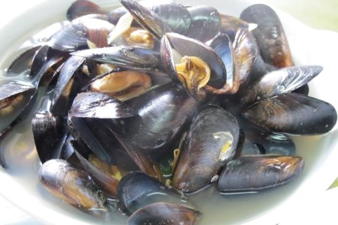 蓬莱金海岸渔家乐