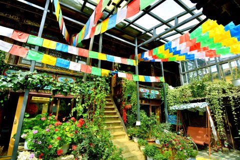 香格里拉莲花别院客栈