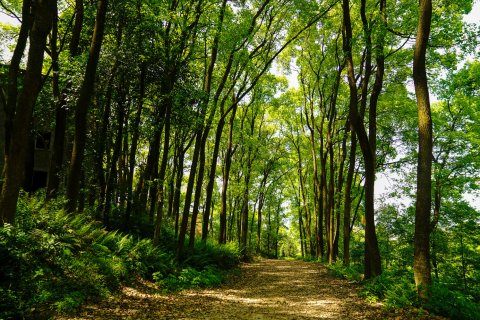 重庆张飞古道度假酒店