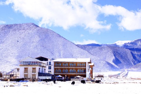 香格里拉老谢车马店