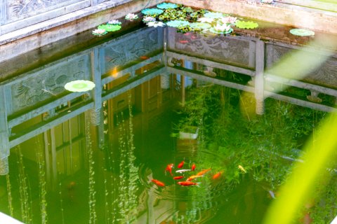 丽江木石缘客栈