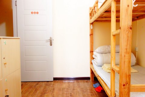 西安秦调青年旅舍