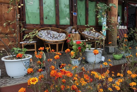 泸沽湖疯鸟青年旅舍