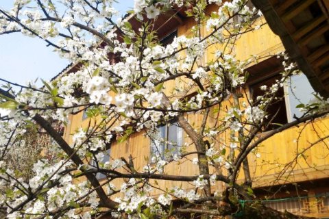 龙脊梯田佳美阁(千层天梯2号观景台店)