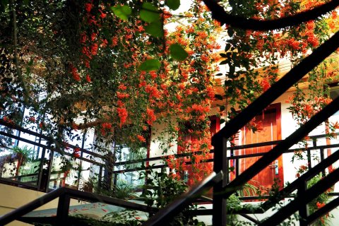 大理冰岛花悦客栈