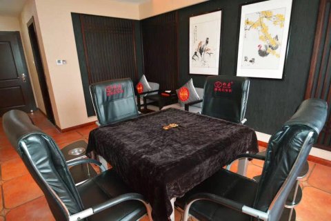 林芝天宇藏秘主题酒店