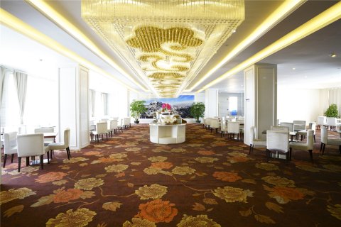 阿里象雄大酒店