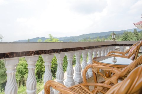 雅安瑞新居酒店