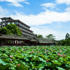 酒店头图