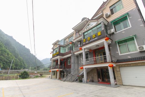 大明山百合农庄