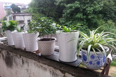 天堂寨踏云山庄