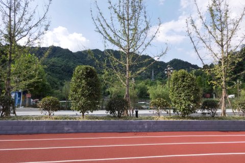 习水红武大酒店