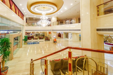 祥和大酒店(田东人民广场县政府店)