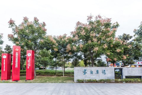 乌镇良憩人文酒店