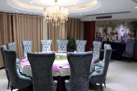 东阿原色雅居酒店