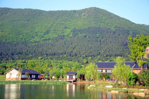 大阳山林泉里民宿(国家森林公园植物园景区店)