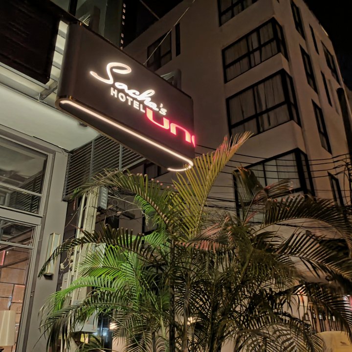 萨查斯乌诺酒店(Sacha's Hotel Uno)