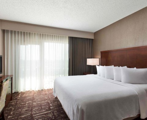 达拉斯弗赖拉辛希尔顿安泊酒店(Embassy Suites by Hilton Dallas Frisco Hotel & Convention Center)