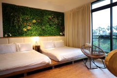 颂谦文旅 梅花鹿同住(Song Qian Brigade live with sika deer)