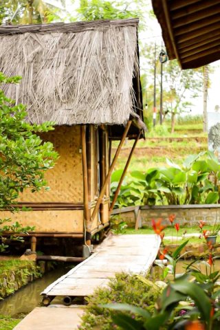 奇昂朱尔稻田青年旅舍(Cianjur Paddies Hostel)