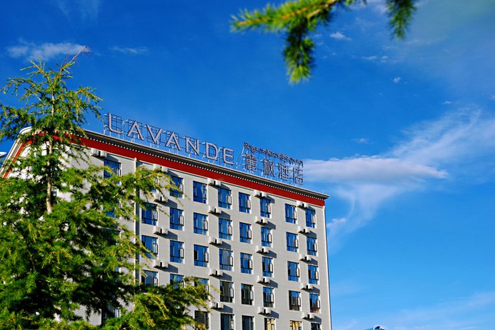 麗枫酒店(拉萨市政府西藏大学店)