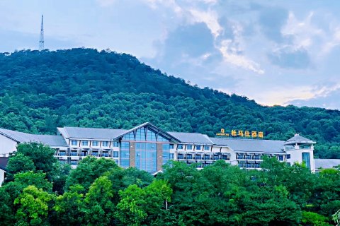 咸宁三江森林温泉杜马仕酒店