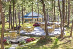 针叶林度假村(RUNG LA KIM RESORT)