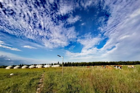 多伦东凉亭度假村