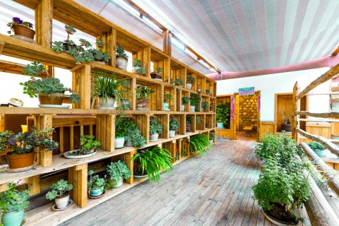 四姑娘山阿里本民宿