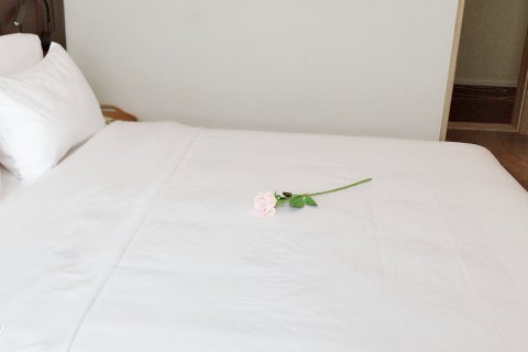 汉庭优佳酒店(浦江店)