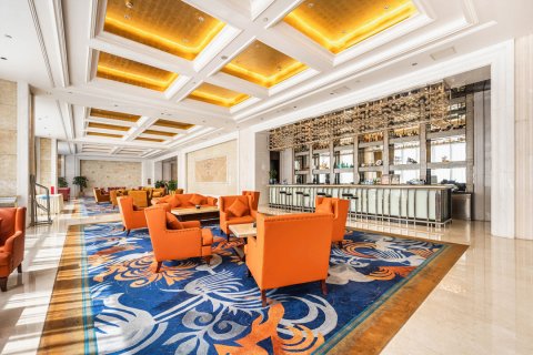 合肥丰大国际大酒店