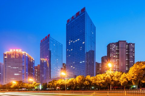合肥丰大国际大酒店
