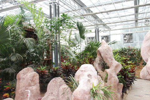 济南舜耕山庄生态园酒店