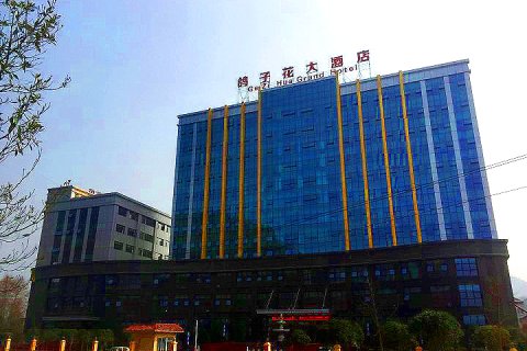 荥经鸽子花大酒店