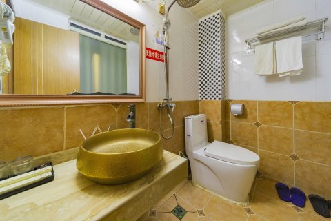 射洪梦游仙境主题酒店