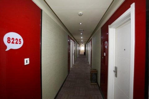 鲁冰花快捷酒店