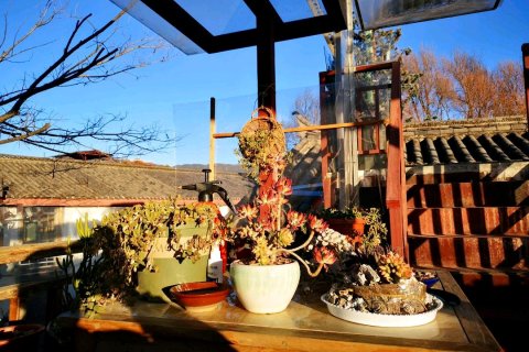 丽江束河古道人家客栈