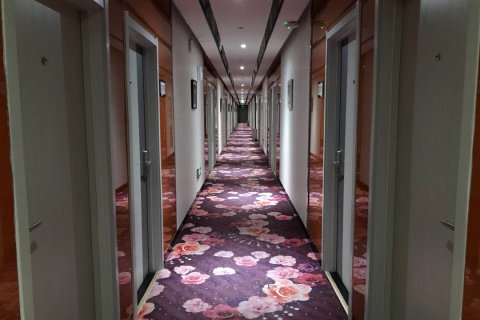 爱航快捷酒店(临沭步行街店)