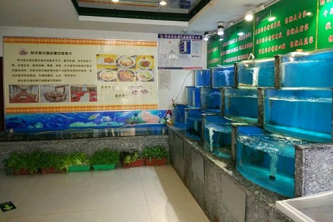 冠县阳光假日酒店