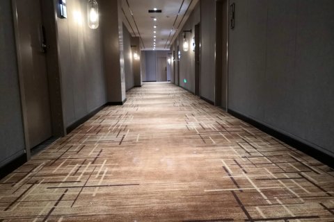 曹县卡尔顿国际商务酒店