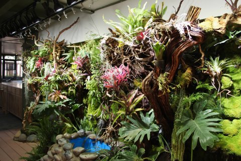 南强别院酒店(昆明南屏步行街金马碧鸡坊店)