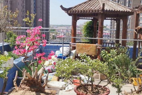 舞阳风帆商务酒店