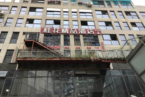 龙泉桂花精品酒店