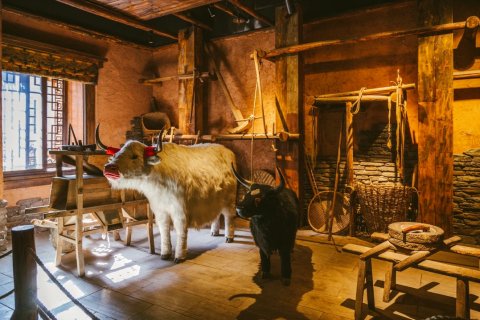 羌逸民宿(茂县坪头羌寨店)